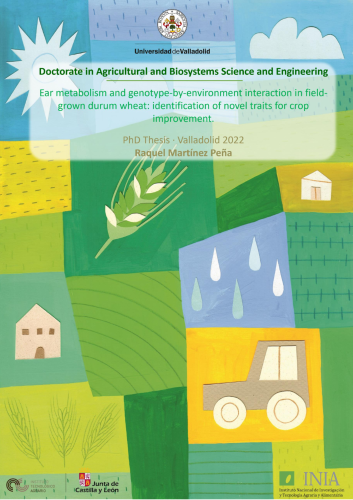 Ear metabolism and genotype-by-environment interaction in field-grown durum wheat: identification of novel traits for crop improvement