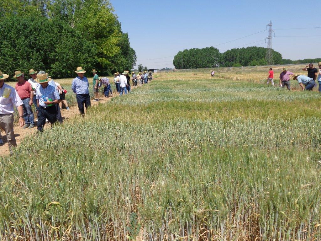 ESTRATEGIA DE FOMENTO DEL DESARROLLO TECNOLÓGICO Y DIGITALIZACIÓN EN EL ÁMBITO AGRARIO Y AGROALIMENTARIO EN CASTILLA Y LEÓN